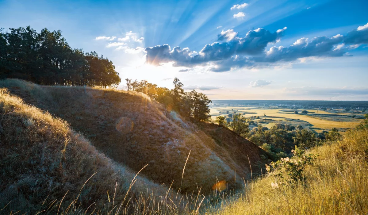 Jak w 2024  reklamować na sto procent!