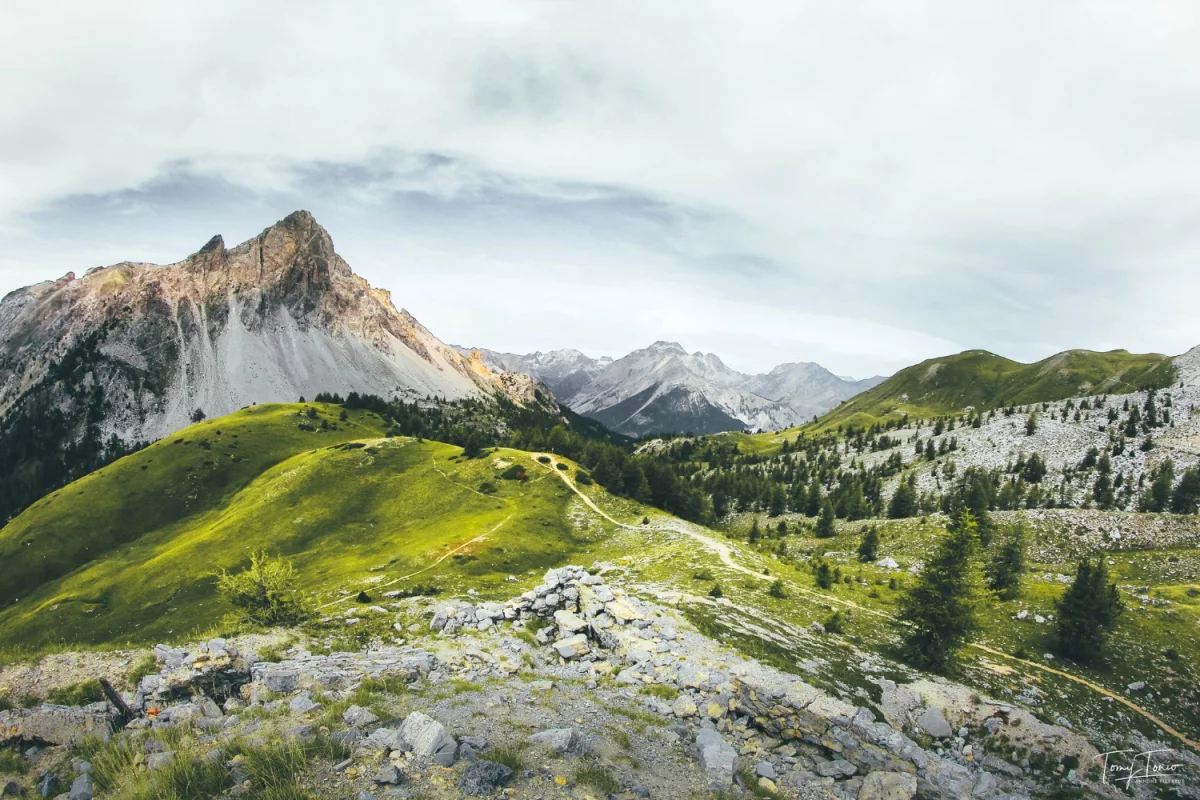 Jak zlecić outsourcing środowiskowy z przyjemnością?