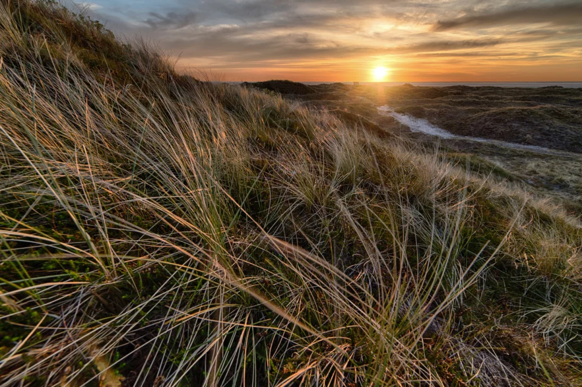 Jak kupić para cord przydatnie?