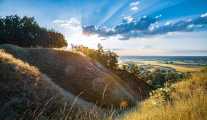 Te porady jak odgrzybić mieszkanie zaskoczą nawet profesjonalistę!
