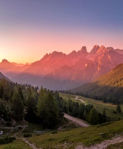 Ciekawe kto może się reklamować?